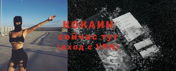 мдпв Вязьма
