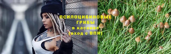 крисы Вяземский