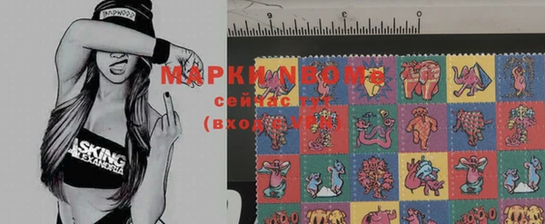 мдпв Вязьма