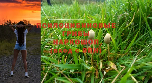 мдпв Вязьма