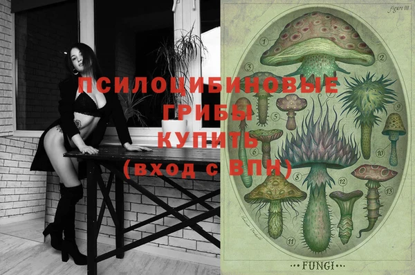 мдпв Вязьма