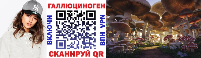 blacksprut вход  Западная Двина  Псилоцибиновые грибы GOLDEN TEACHER 